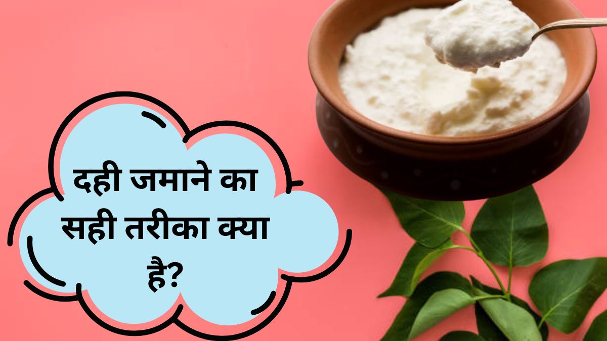 dahi jamane ka tarika