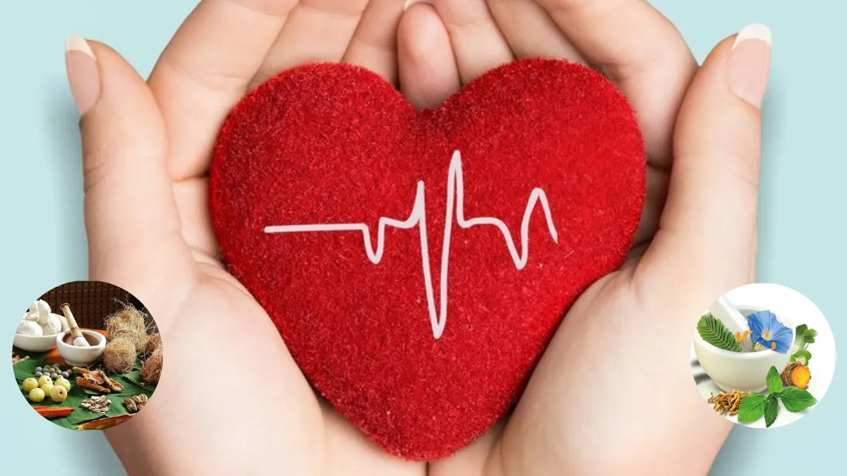 Heart Ke Health Ke Liye Ayurvedic Upay