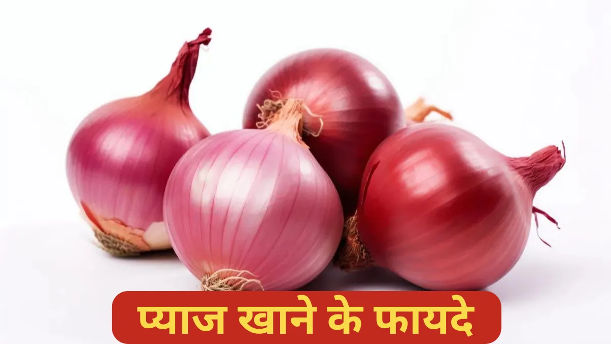 Kaccha Pyaj Khane Se Kya Hota Hai