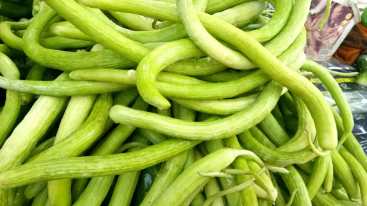 Kakdi Khane Se Kya Hota Hai