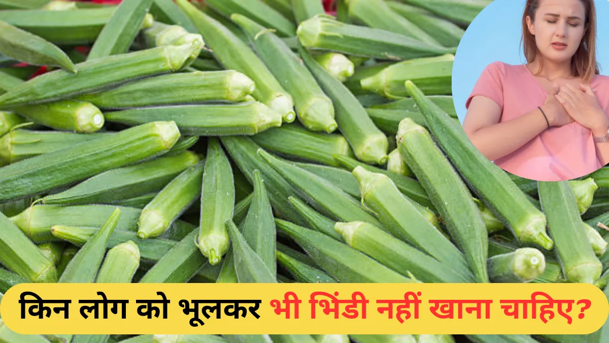 Kin Logo Ko Bhindi Nahi Khana Chahiye