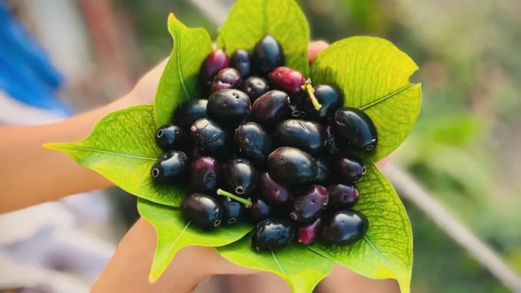 Liver Ko Healthy Rakhne Wale Fruits