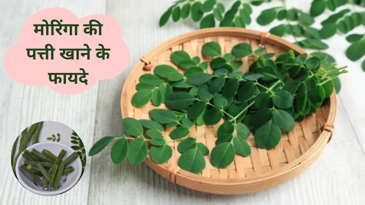 Moringa Ki Patti Khane Ke Fayde