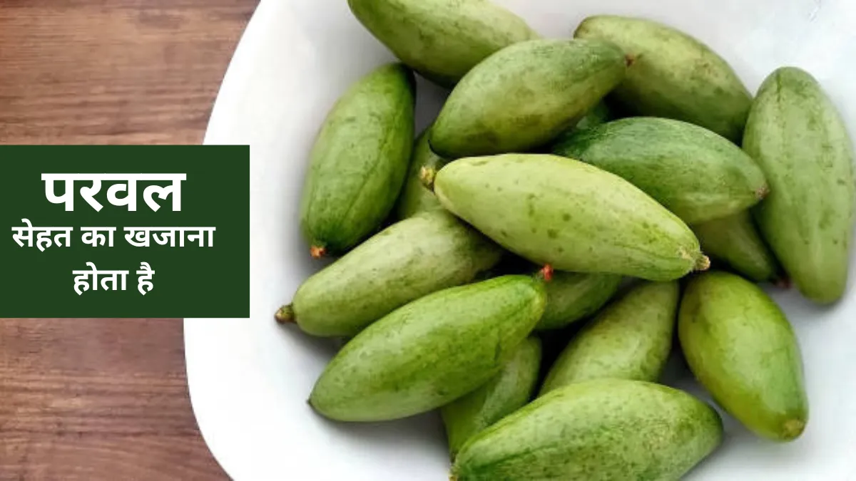 Parwal Khane Se Kya Fayda Hota Hai