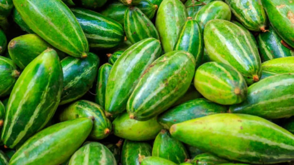 Parwal Khane Se Kya Fayda Hota Hai