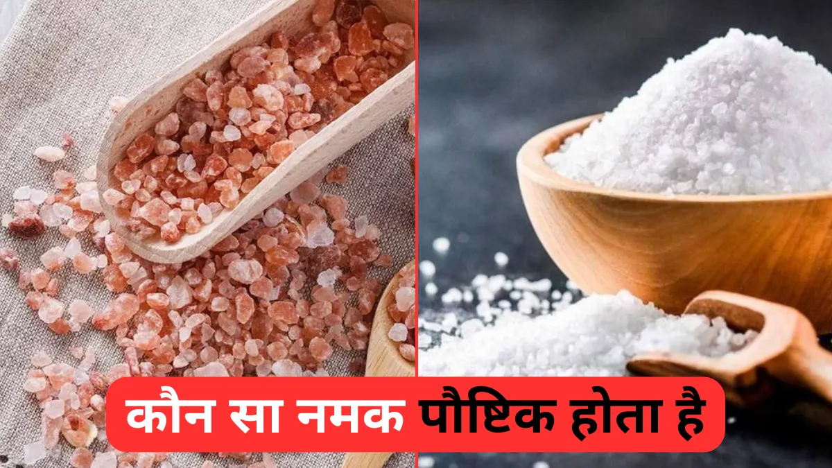 Sendha Namak Aur Sadharan Namak Me Antar