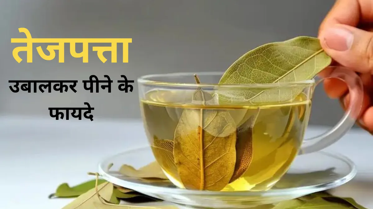 Tejpatta Ubal Kar Peene Ke Fayde