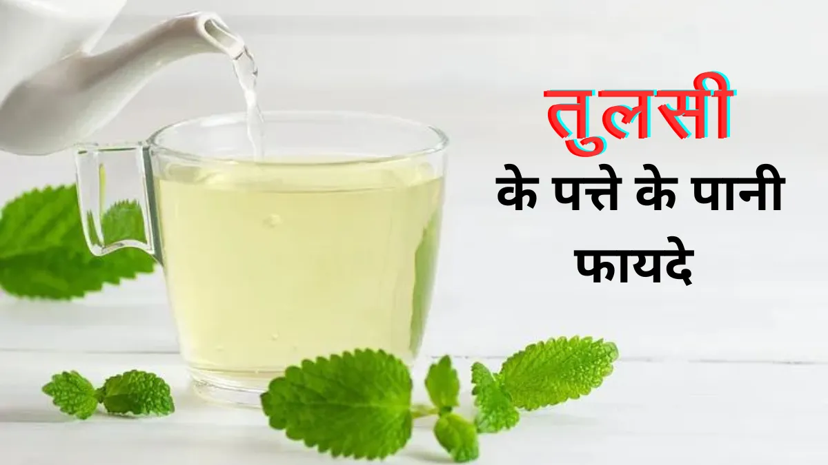 Tulsi Ke Patte Ka Pani Pine Ke Fayde