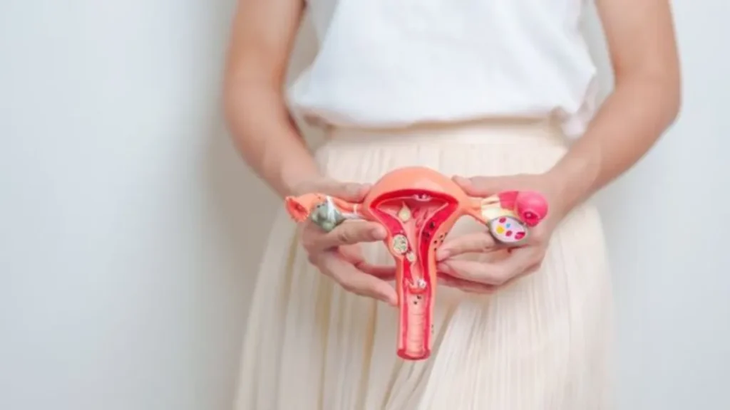 Uterus Me Kitni Layer Hoti Hai