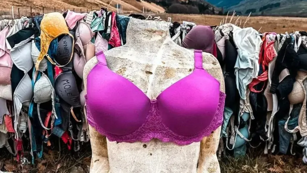 Bra Wall In New Zealand