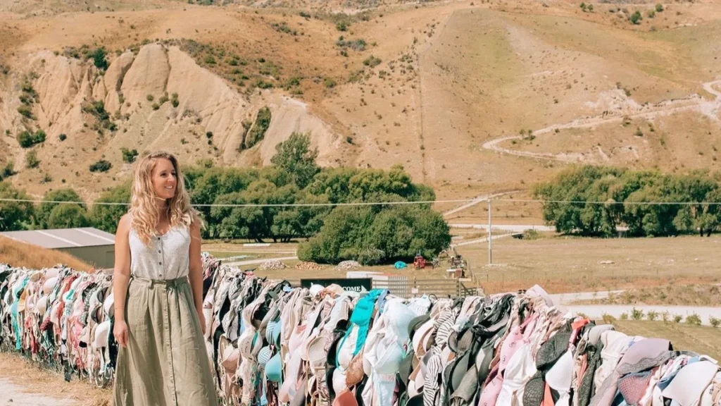 Bra Wall In New Zealand