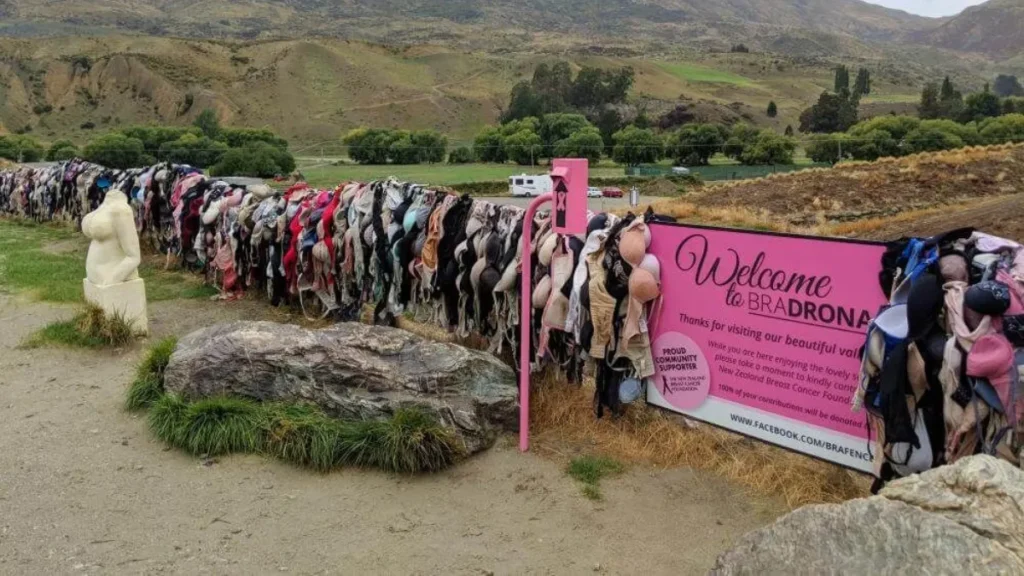 Bra Wall In New Zealand
