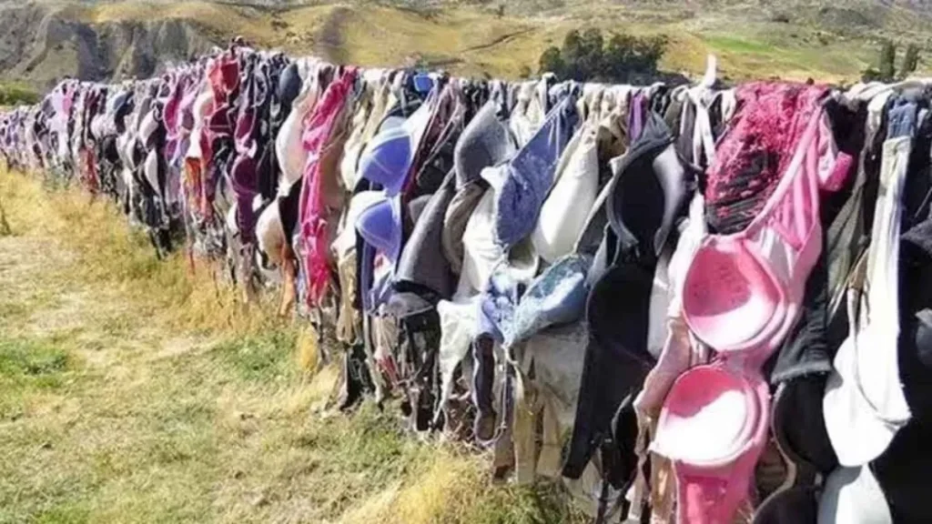 Bra Wall In New Zealand