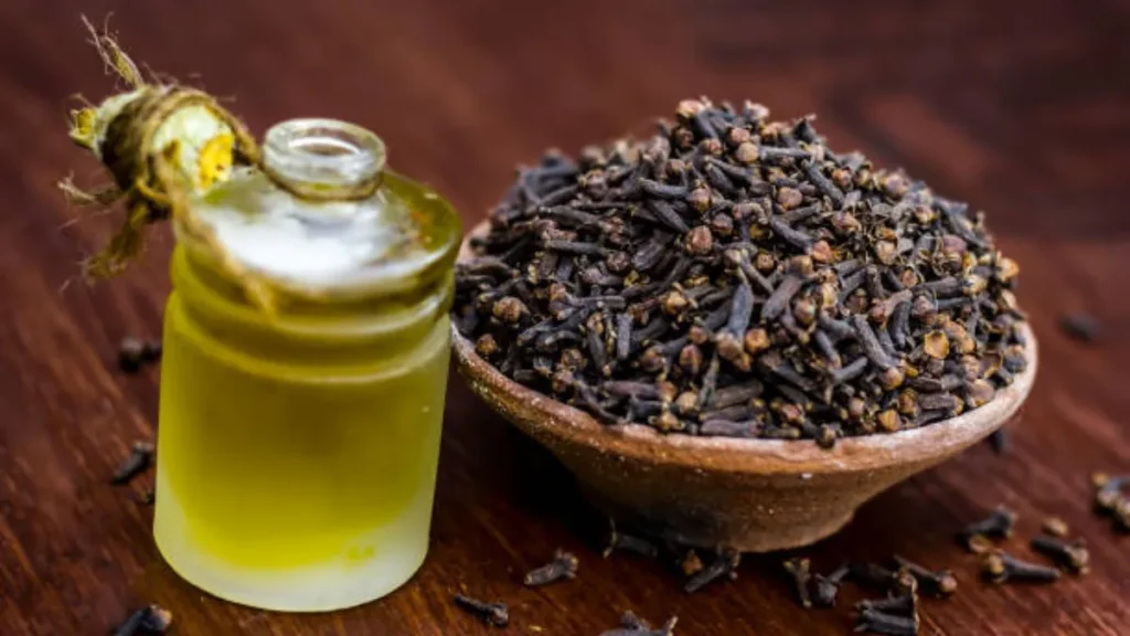 Clove Oil Benefits In Hindi