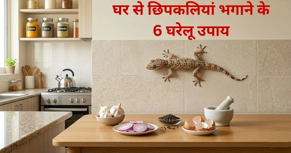 Ghar Se Chipkali Bhagane Ke Gharelu Upay